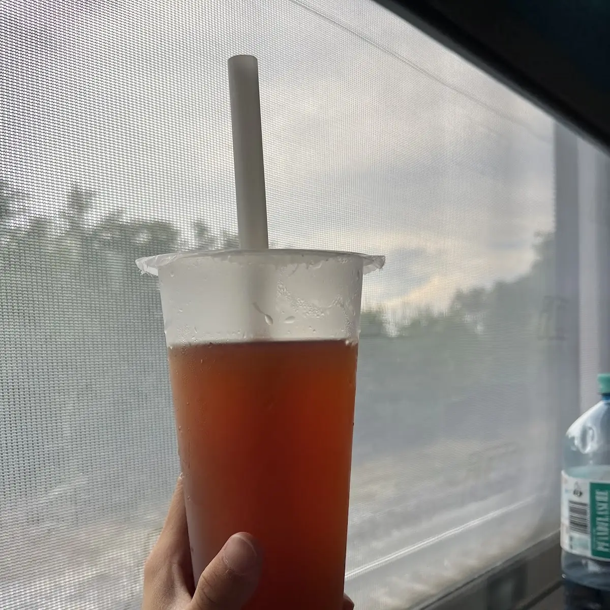 西柚